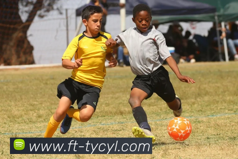 澳门太阳城APP 体育赛事宣传图